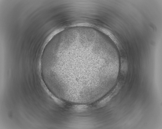 X0000110881282200907301426