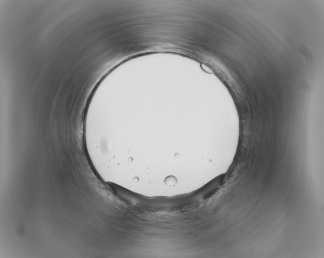 X0000110881284200907301426