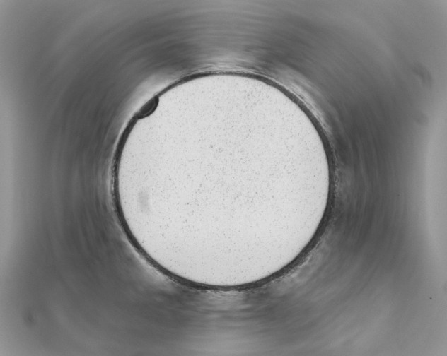 X0000110881285200907301426