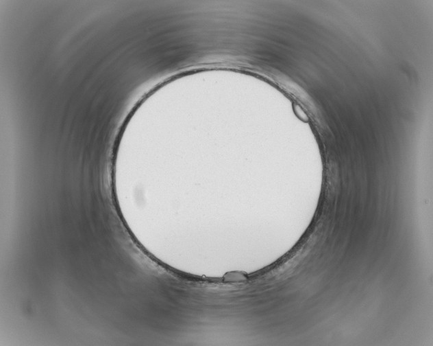 X0000110881288200907301426