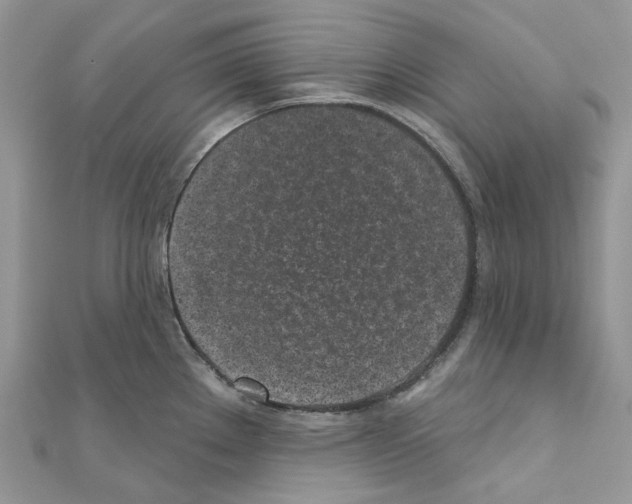 X0000110881289200907301426