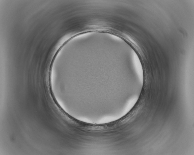 X0000110881291200907301426