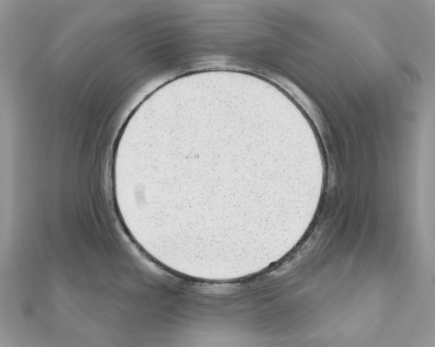 X0000110881293200907301426