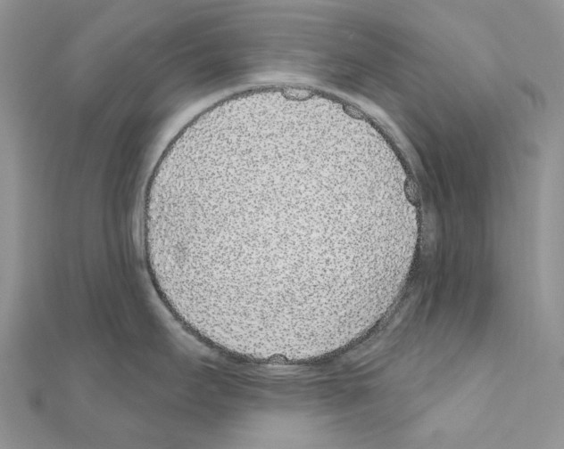 X0000110881295200907301426