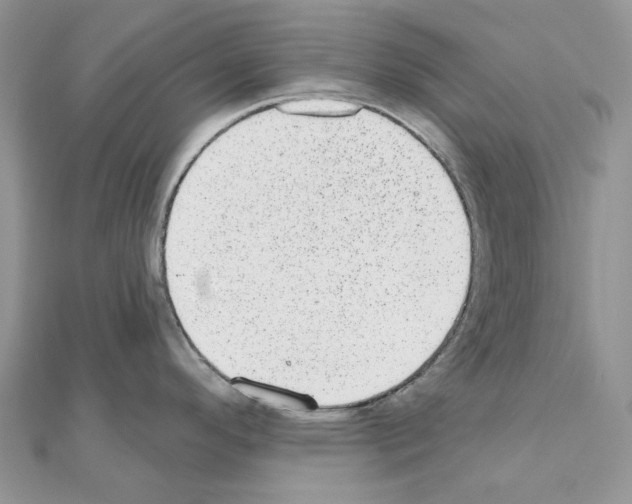 X0000110881296200907301426