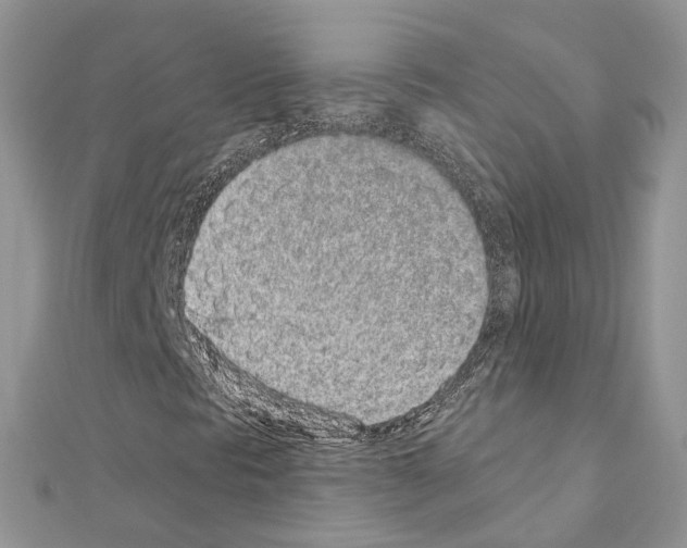 X0000110881297200907301425