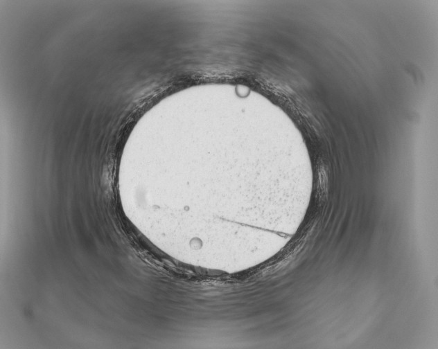 X0000110881300200907301425