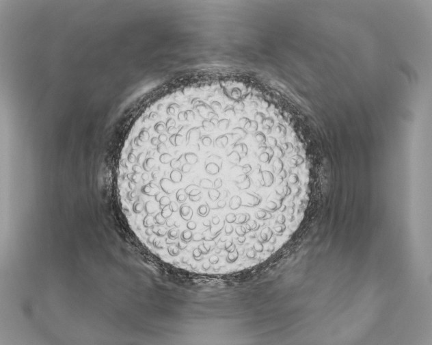 X0000110881302200907301425