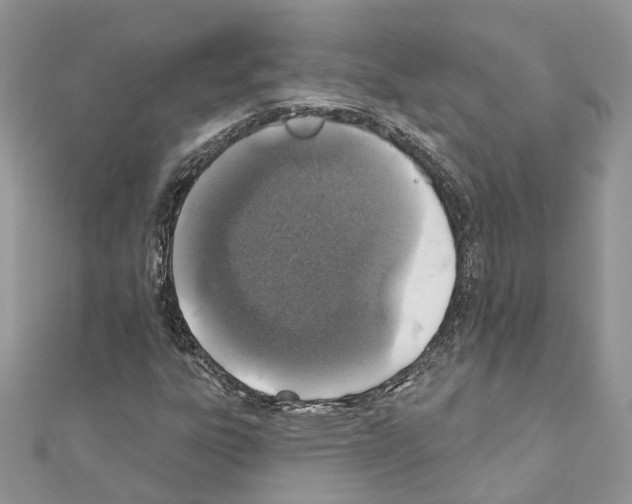 X0000110881303200907301425