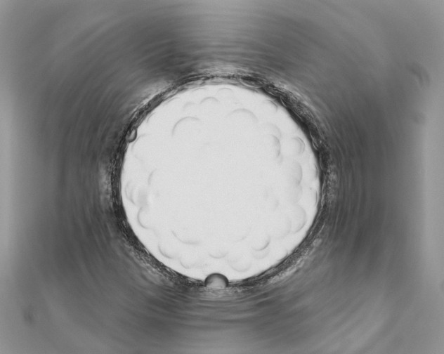 X0000110881305200907301425