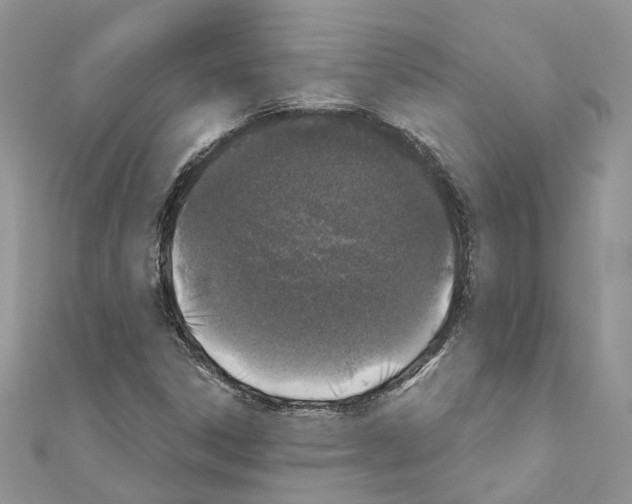 X0000110881306200907301425