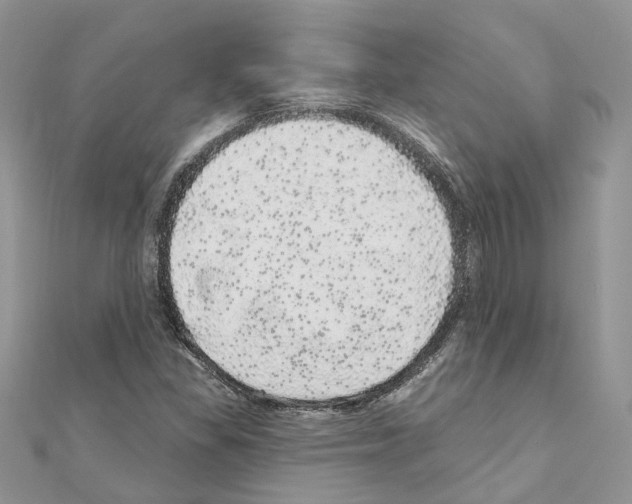 X0000110881309200907301425