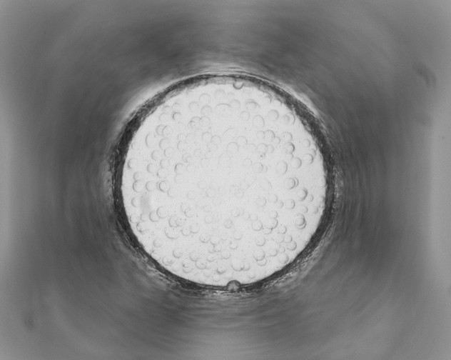 X0000110881311200907301425