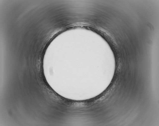 X0000110881313200907301426