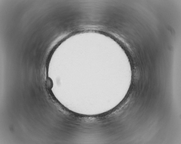 X0000110881317200907301426