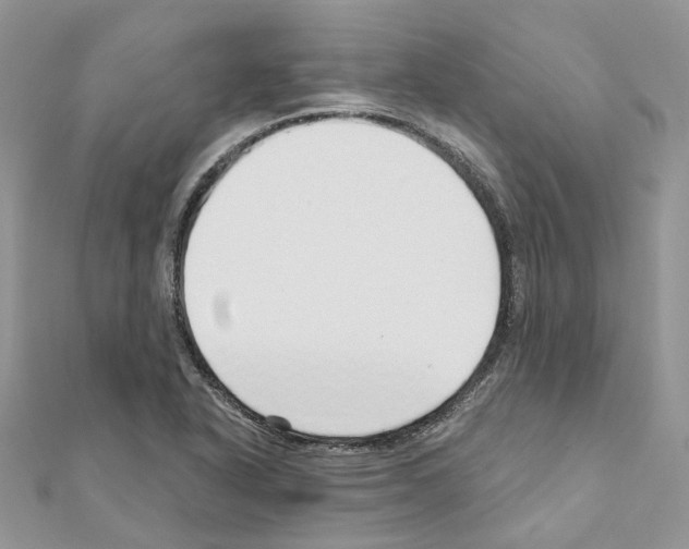 X0000110881318200907301426