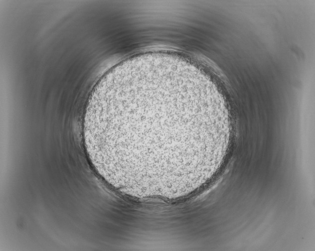 X0000110881321200907301426