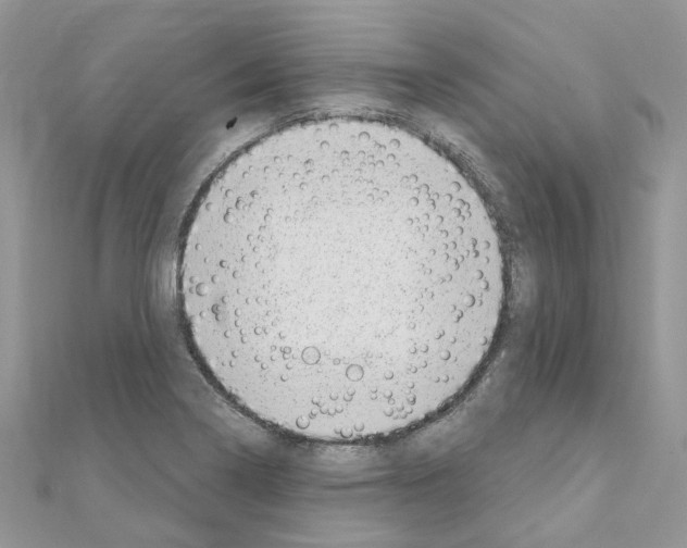 X0000110881322200907301426