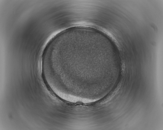 X0000110881323200907301426