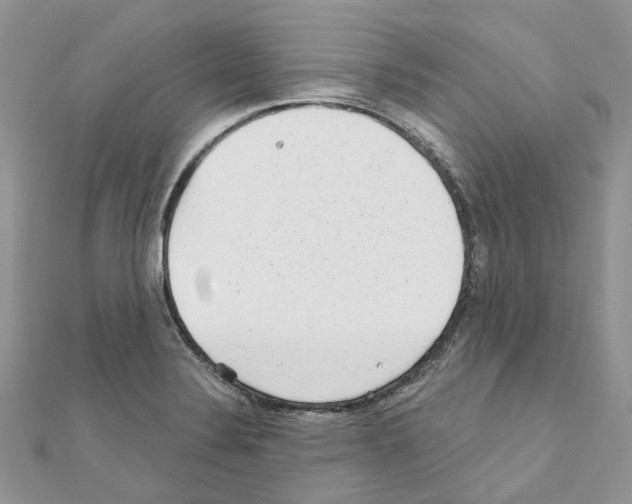 X0000110881324200907301426