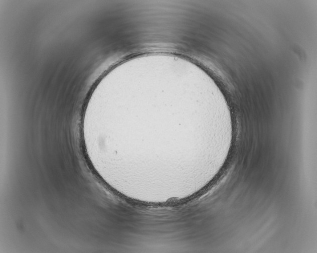 X0000110881325200907301426