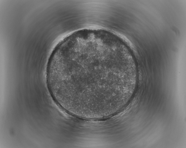 X0000110881327200907301426