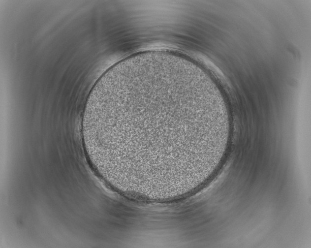 X0000110881329200907301426