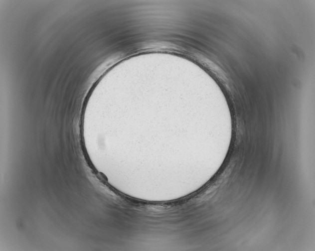 X0000110881330200907301426