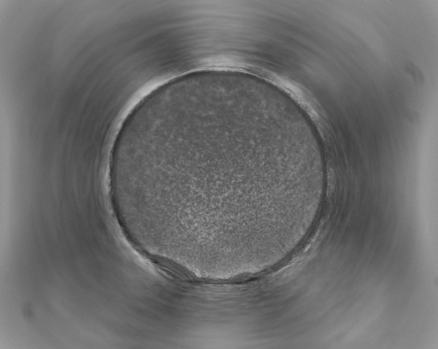 X0000110881331200907301426