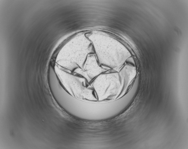 X0000110881332200907301426