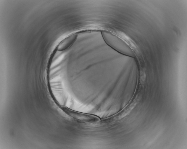 X0000110881334200907301426