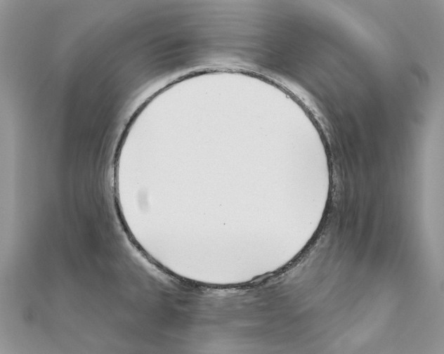 X0000110881335200907301426