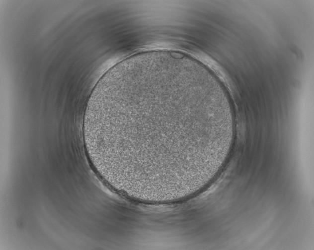 X0000110881337200907301426