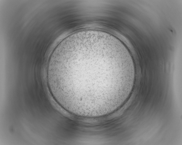 X0000110881338200907301426