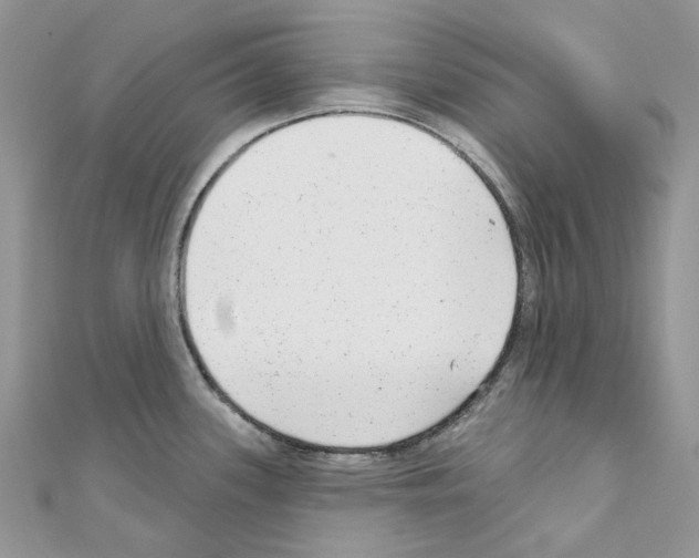 X0000110881339200907301426