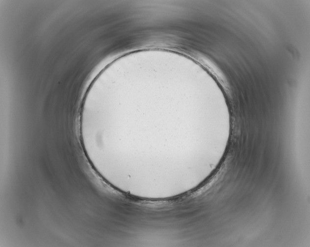 X0000110881340200907301426