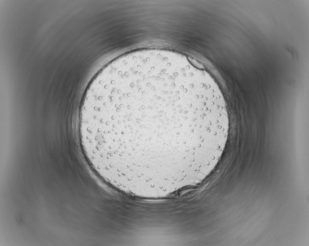 X0000110881343200907301426