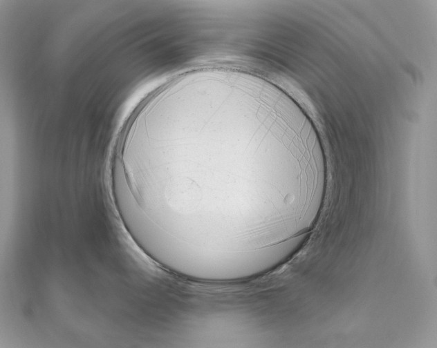 X0000110881344200907301426