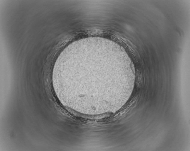 X0000110881345200907301425