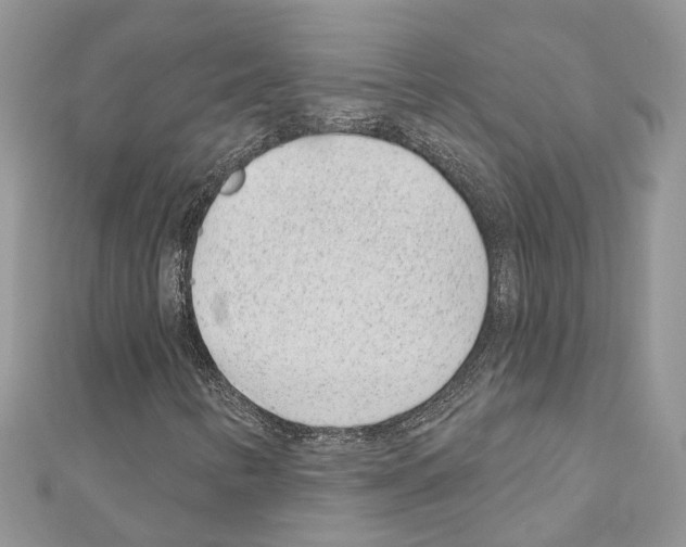 X0000110881346200907301425