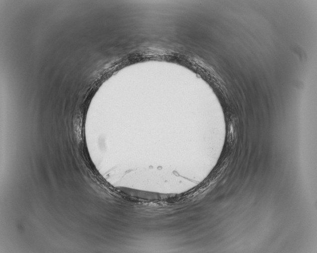 X0000110881348200907301425