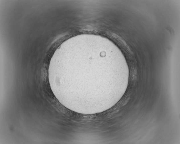 X0000110881350200907301425