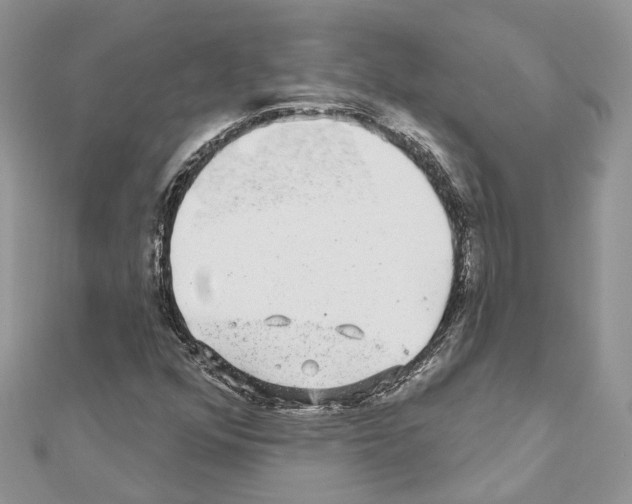 X0000110881352200907301425