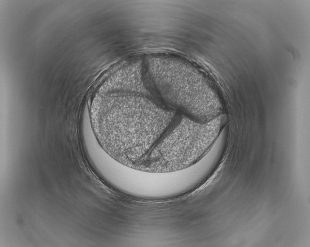 X0000110881353200907301425