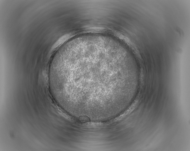 X0000110881354200907301425