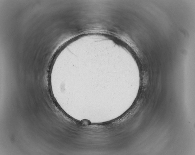 X0000110881356200907301425