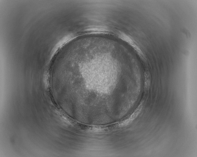 X0000110881357200907301425