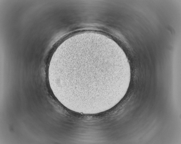 X0000110881360200907301425