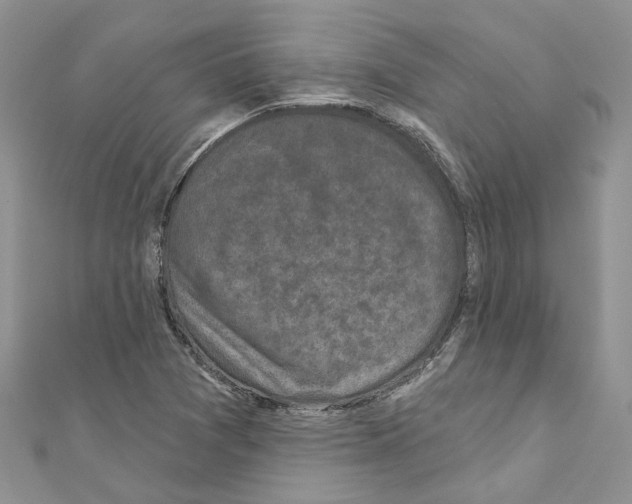 X0000110881361200907301425