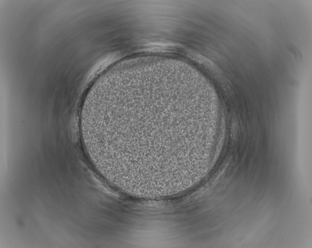 X0000110881362200907301425